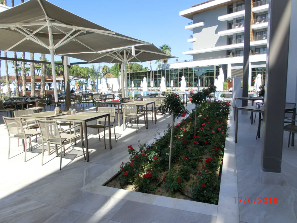 Restaurant Acanthus Cennet Barut Collection