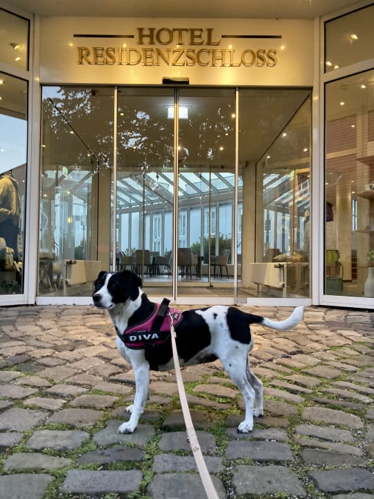 Lobby Welcome Hotel Bad Arolsen