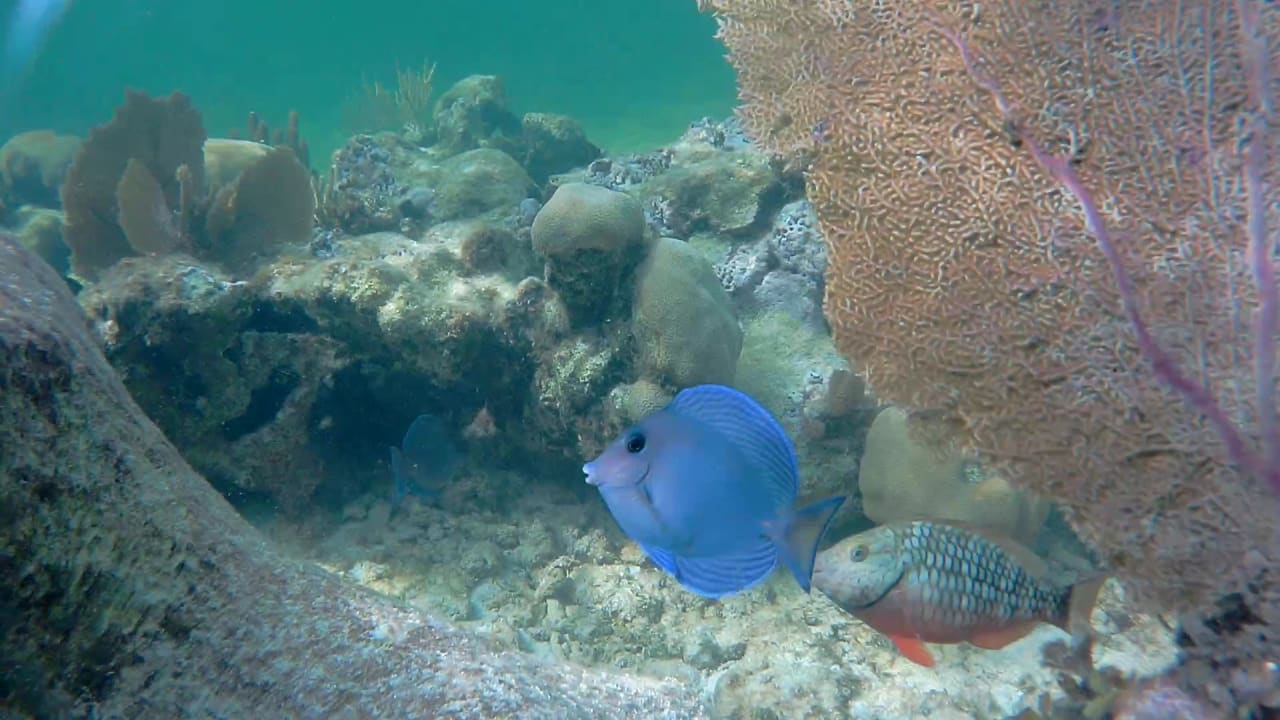 Sport & Freizeit Akumal Bay Beach & Wellness Resort