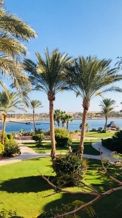 Ausblick Steigenberger Coraya Beach - Adults only