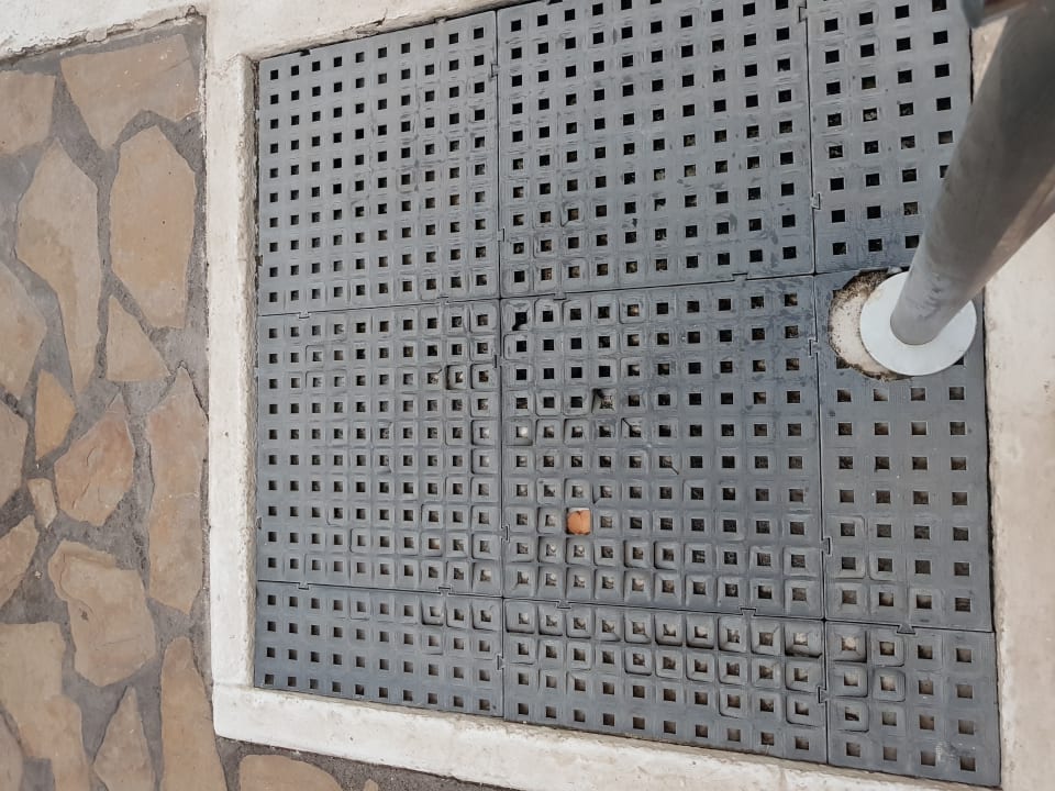 Pool Melia La Palma Hotel