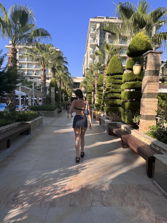 Gartenanlage Dizalya Palm Garden