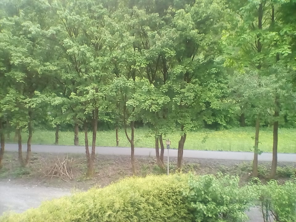 Ausblick WAGNERS Hotel im Frankenwald