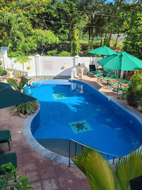 Pool Hanneman Holiday Residence