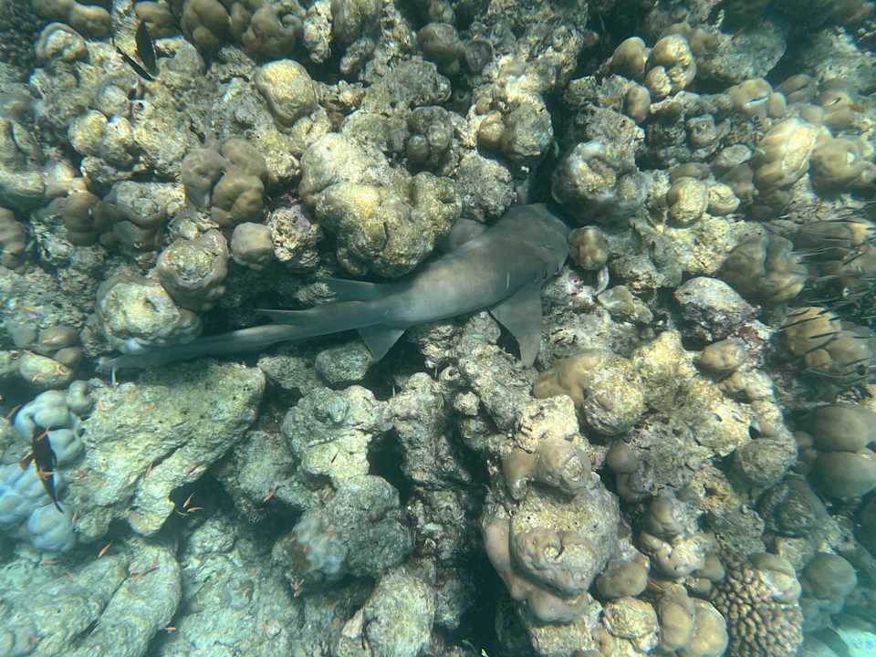 Strand Kuredu Island Resort & Spa