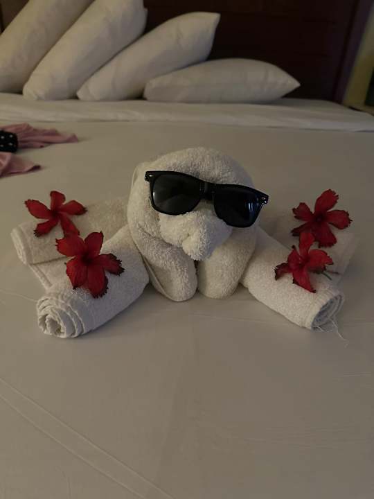 Zimmer Casa Mare Resort