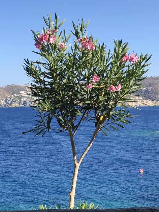 Ausblick Seaside A Lifestyle Resort