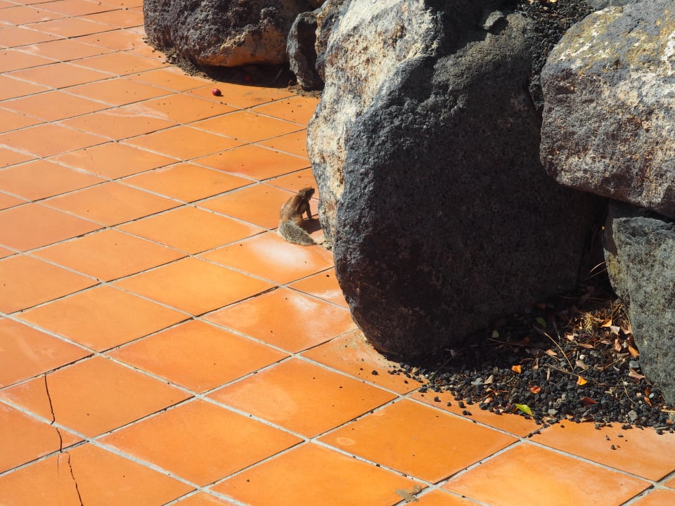 Sonstiges H10 Tindaya