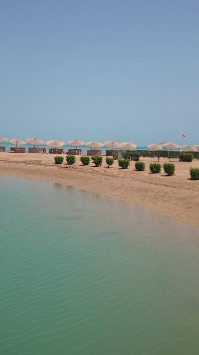 Aussicht beim Essen Club Paradisio El Gouna, Red Sea