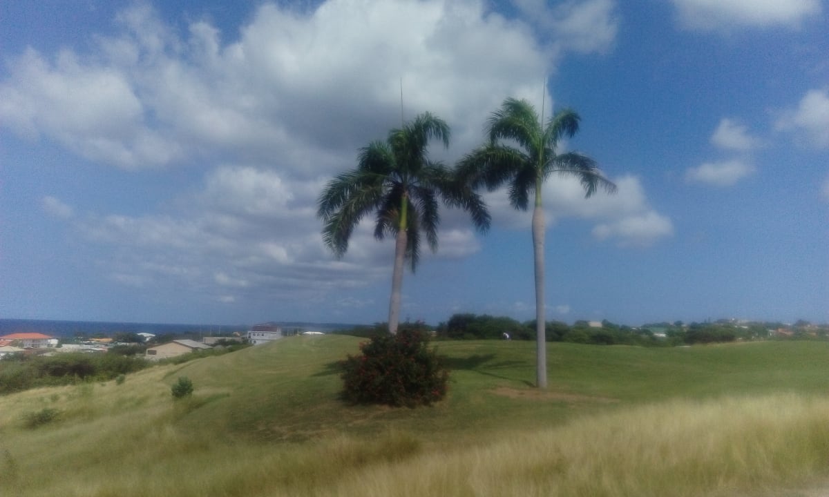 Gartenanlage Blue Bay Lodges - Sunny Curacao