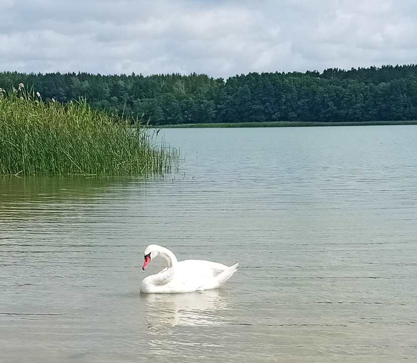 Strand AHORN Seehotel Templin