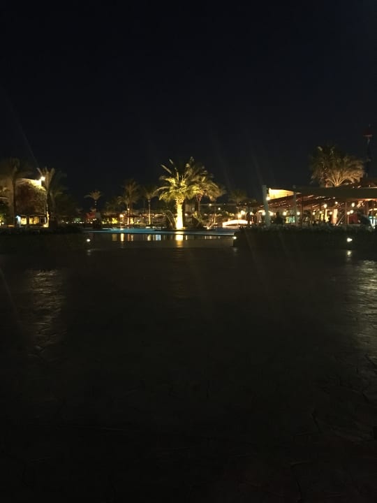 Gartenanlage Desert Rose