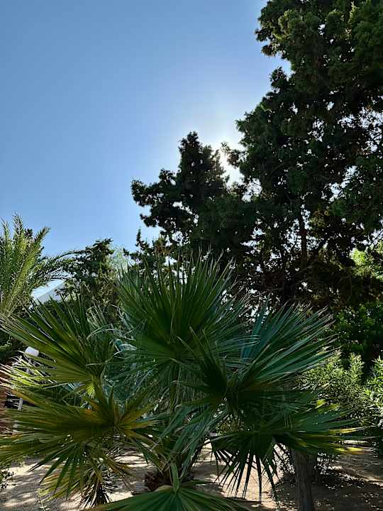 Gartenanlage Marhaba Royal Salem