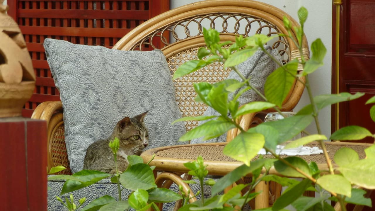 Auf der kleinen Terrasse Hotel Mekong Riverview