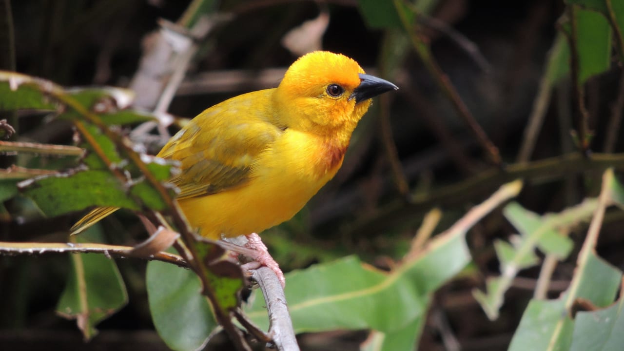 Gäste in der Anlage Bahari Beach Hotel