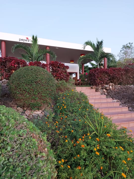 Gastro Hotel Riu Palace Zanzibar