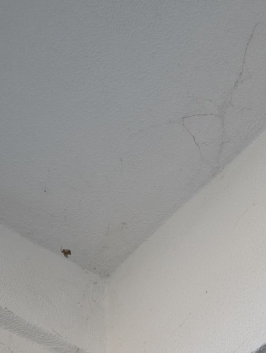 Zimmer Palm World Side Resort & Spa