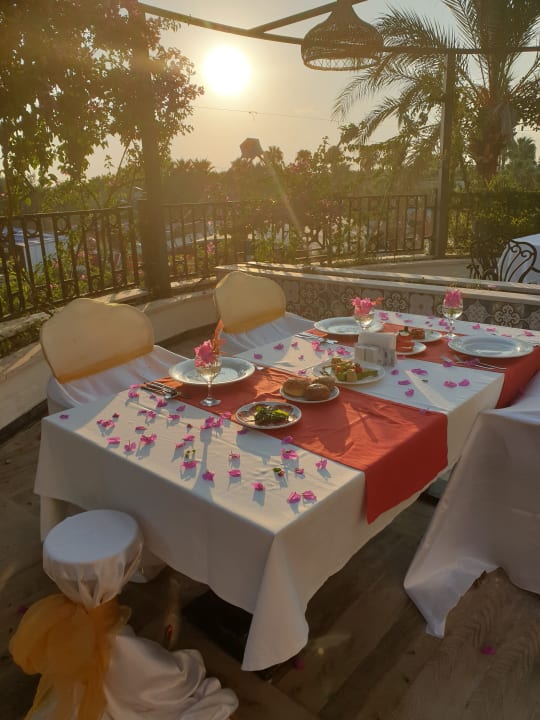 Gastro Selectum Family Comfort Side