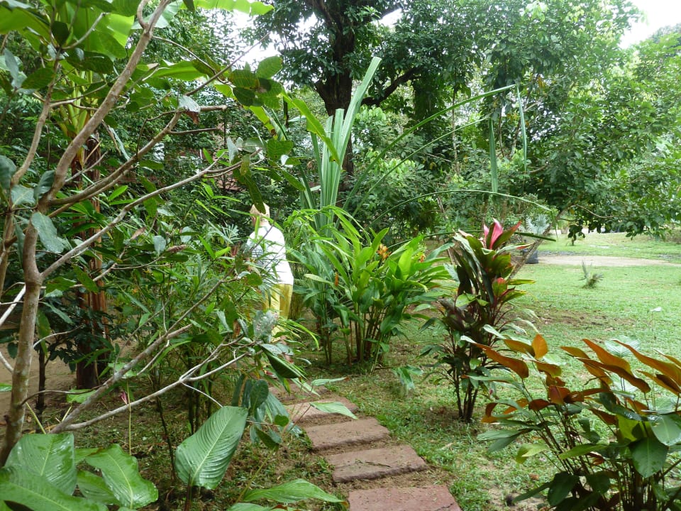 Zugang zum Haus Khao Sok Paradise Resort