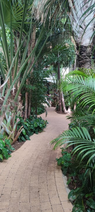 Gartenanlage Zoëtry Curaçao Resort & Spa