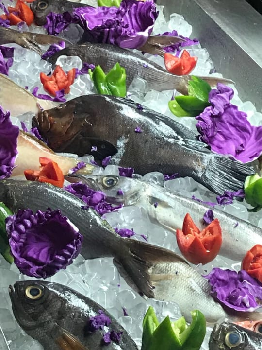 Gastro Pickalbatros White Beach Resort - Hurghada