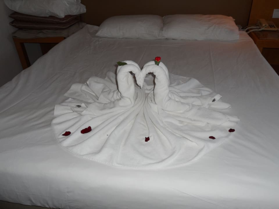 Valentinstag Akka Alinda Hotel