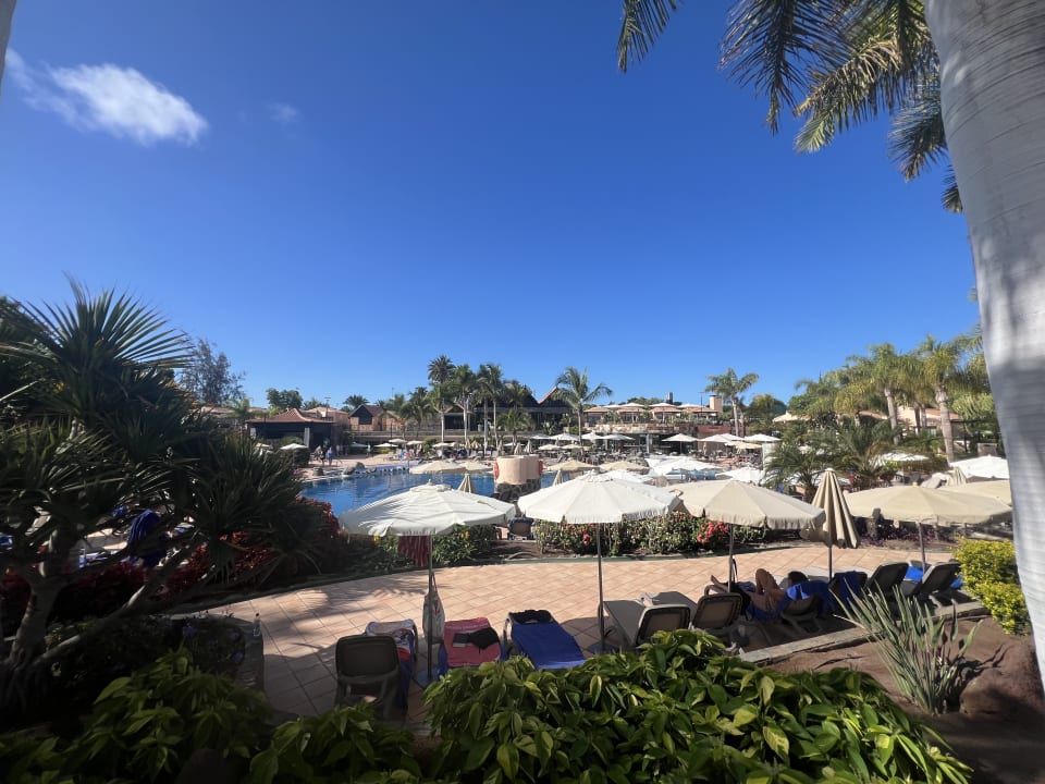 Pool allsun Hotel Esplendido