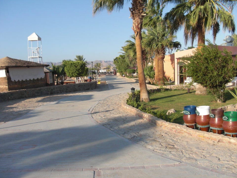 Weg zum Strand und zur Bar Eagles Paradise Abu Soma