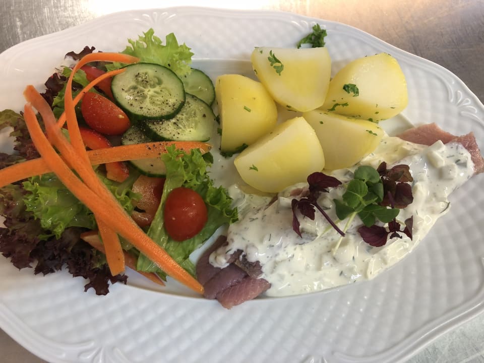 Gastro Hotel Luther Birke Wittenberg