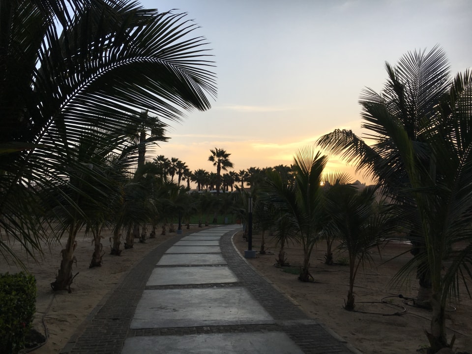 Gartenanlage Hotel Riu Cabo Verde