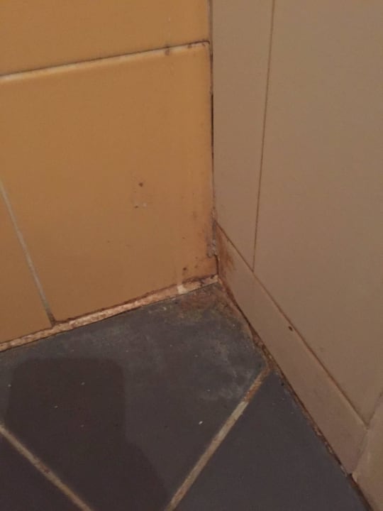 Lecker Am Boden  Park Hotel Golden Beach