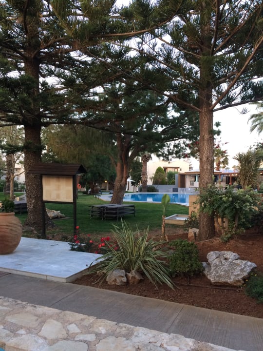 Pool Phãea Cretan Malia