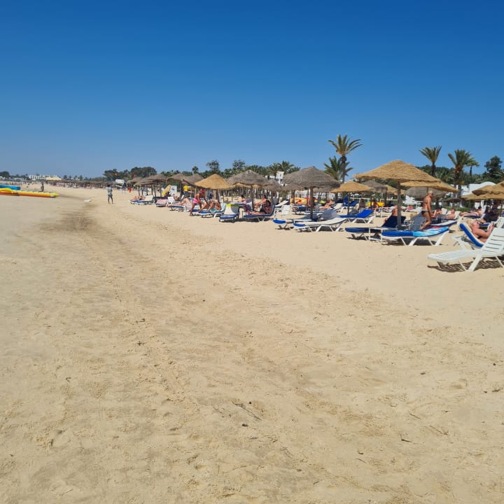 Strand Sentido Phenicia