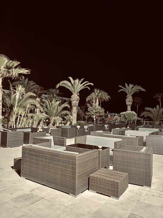Gartenanlage Nozha Beach Resort & Spa