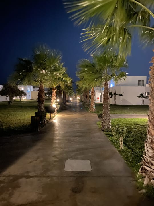 Gartenanlage Atlantica Plimmiri