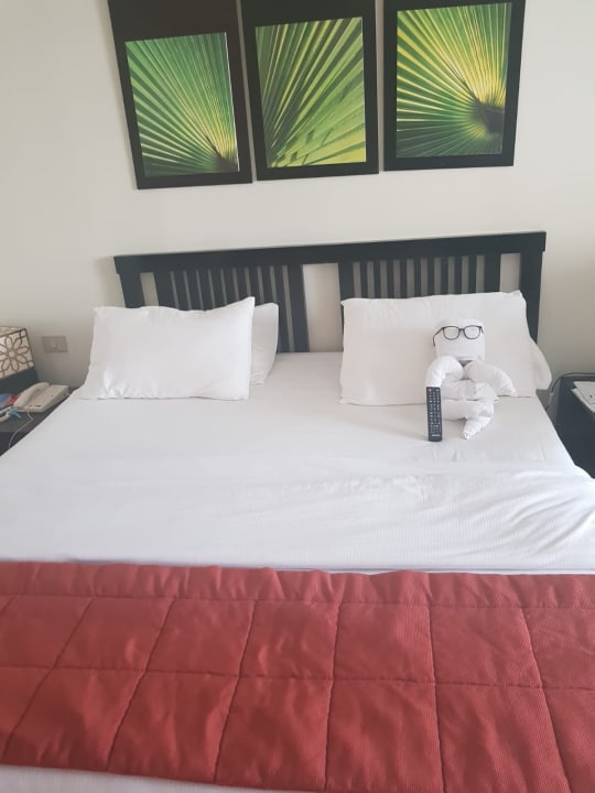 Zimmer SENTIDO Reef Oasis Resort