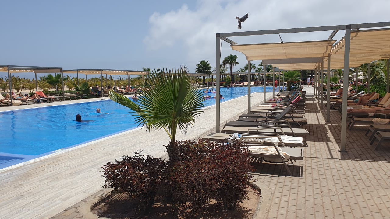 Pool Hotel Riu Palace Santa Maria