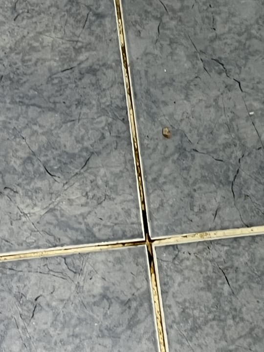 Sonstiges Hotel Mura