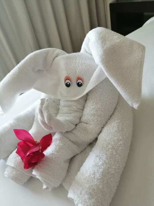 Zimmer Akumal Bay Beach & Wellness Resort