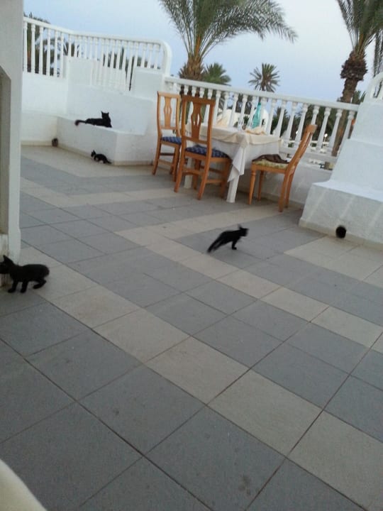 Restaurant Hotel El Mouradi Djerba Menzel