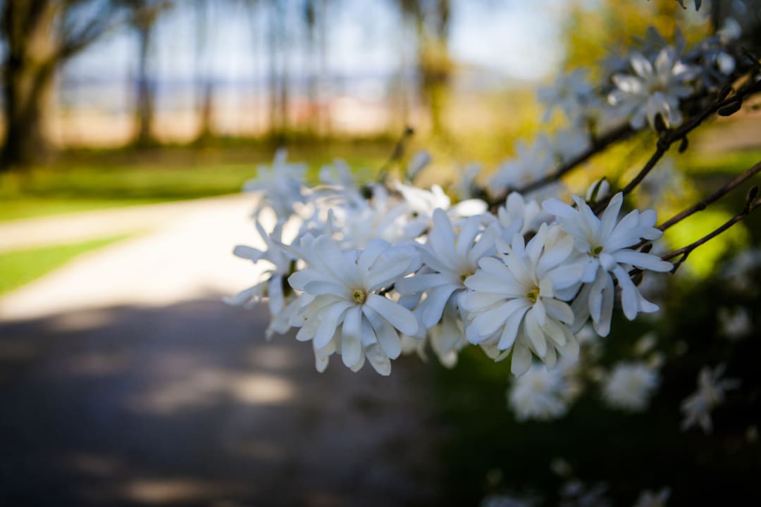 Gartenanlage Ferienhof Gut Ummersberg