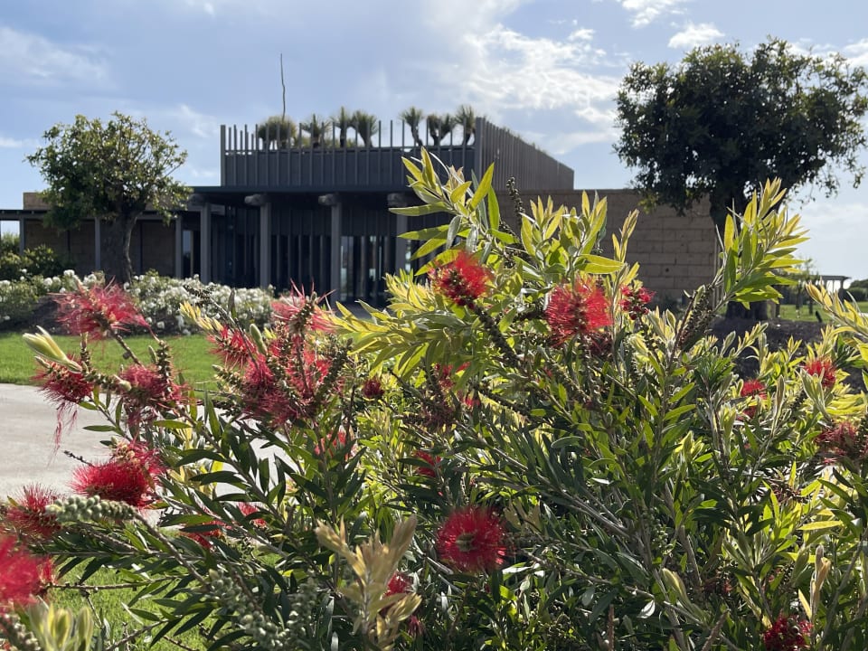 Gartenanlage ADLER Spa Resort SICILIA