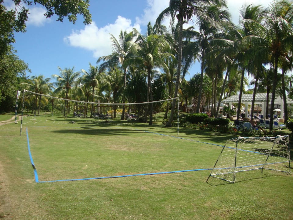 Volleyballfeld Royalton Hicacos Resort & Spa - Adults only