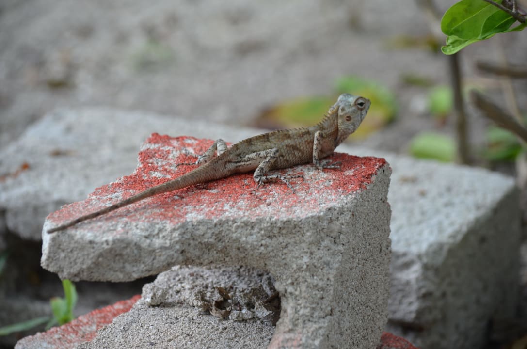 Echse Adaaran Select Hudhuran Fushi - Premium All Inclusive