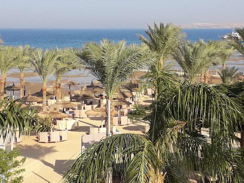 Ausblick Pickalbatros Palace Resort