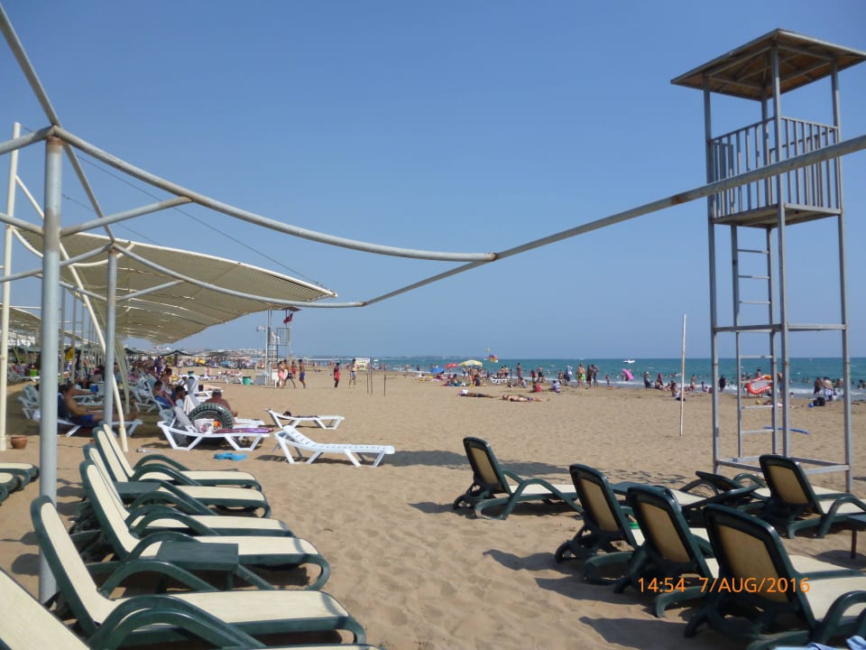 Ausreichend Liegen vorhanden Well Palace Side