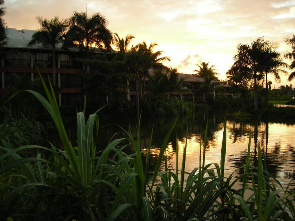 Sonnenuntergang Villas Bavaro Resort & Spa