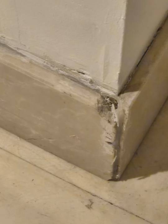 Zimmer Well Palace Side