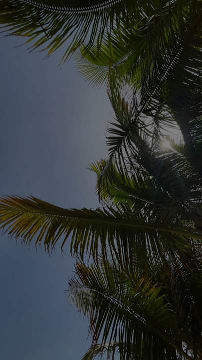 Gartenanlage Hotel Riu Funana