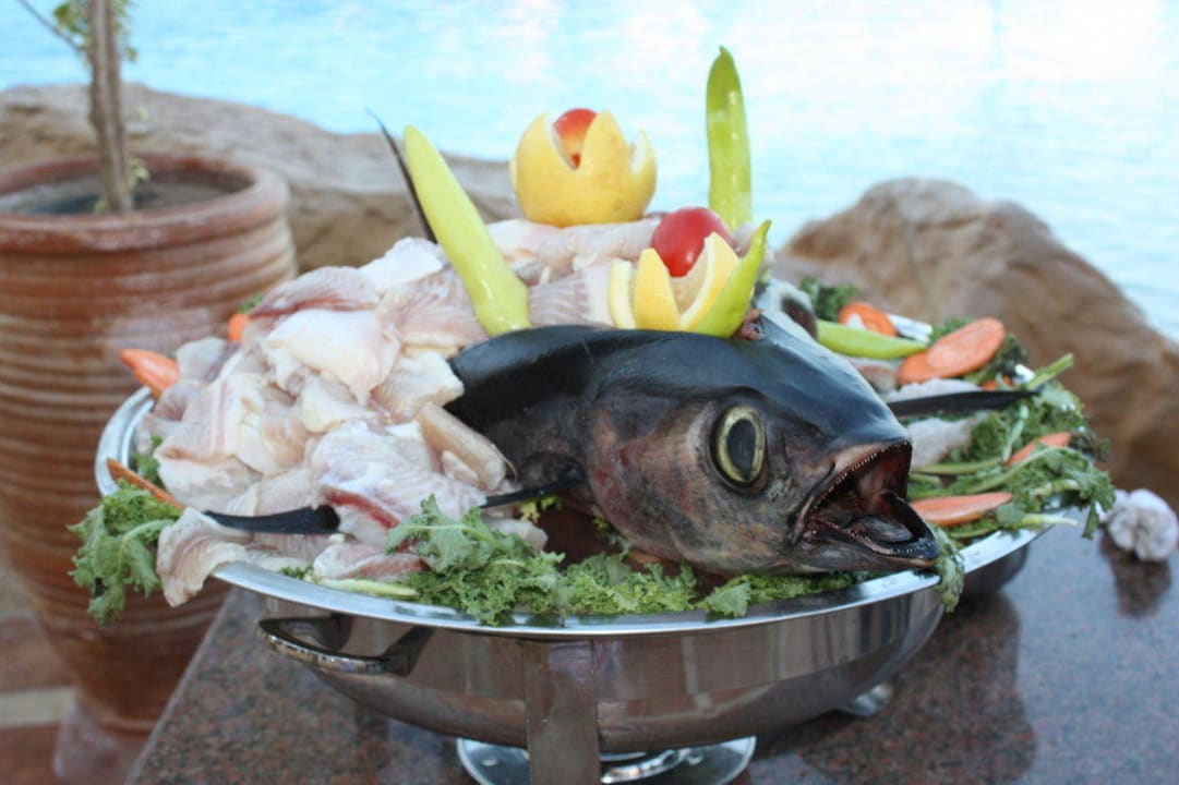 Frischer Fisch zum Grillen Pickalbatros Palace Resort